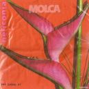 MOLCA 5551-88/   DESS 33. - MOTIVSERVIETTE HELICONIA