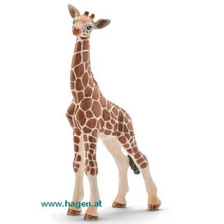 Giraffenbaby - SCHLEICH 14751