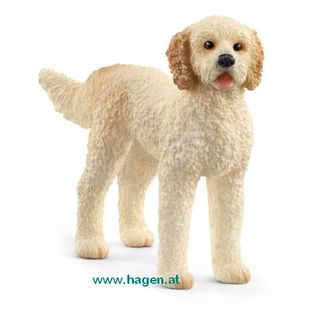 Goldendoodle - SCHLEICH 13939