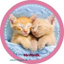 Patches McAddys Katzen 2er Grup
