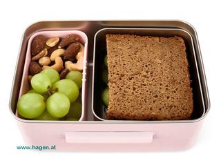 satch Edelstahl Lunchbox Rose