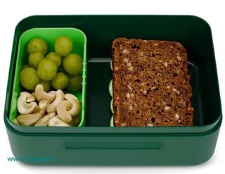 ergobag Brotdose Dinosaurier