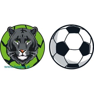 Patches Panther und Soccerball black