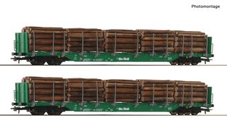 ROCO 6600319 - 2ER SET RUNGENWAGEN RNOOS