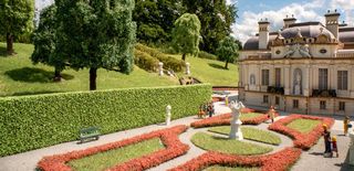 NOCH 21518 - MODELLHECKEN HOCH