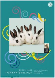 Tonpapierblock A4 20BL sortier - DRER HASE