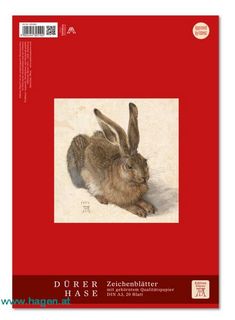 ZEICHENBLATT A3 20BL - FORMAT-X 055460 DRER HAS