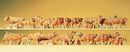 PREISER 14409 - K�HE, BRAUN. 30 FIGUREN