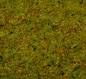 NOCH 50190 - STREUGRAS SOMMERWIESE
