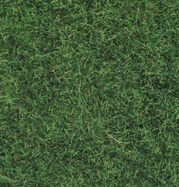NOCH 7110 - WILDGRAS XL WIESE