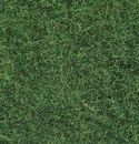 NOCH 7110 - WILDGRAS XL WIESE