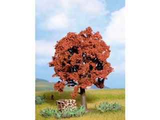 NOCH 21730 - ROTBUCHE