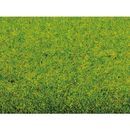 NOCH 20 - GRASMATTE FRHLINGSWIESE