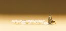 PREISER 79160 - SCH�FEREI