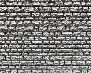 FALLER 170863 - DEKORPLATTE PROFI, LUFER