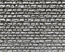 FALLER 170863 - DEKORPLATTE PROFI, LUFER