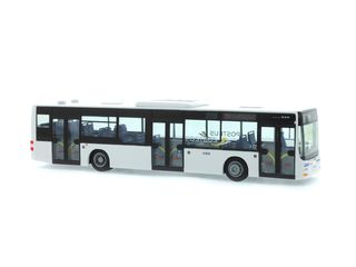 RIETZE 75828 - MAN LIONS CITY 18`18 LAND