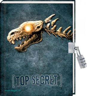 Tagebuch Top Secret mit Schloss