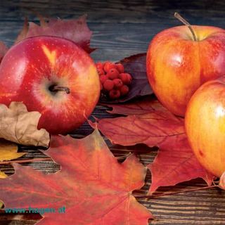 Motivserviette Herbst