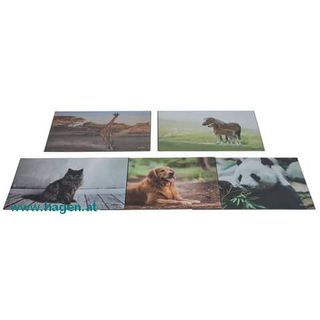 Schreibunterlage Motiv Tiere