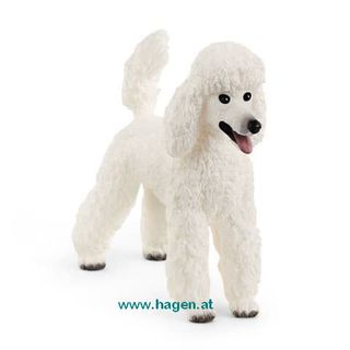 Pudel - Schleich 13917