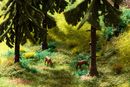 NOCH 60772 - VEGETATIONS-STARTSET WAL